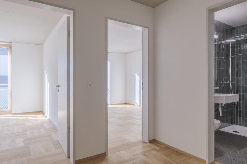 7.5 Zimmerwohnung in Biel (4)
