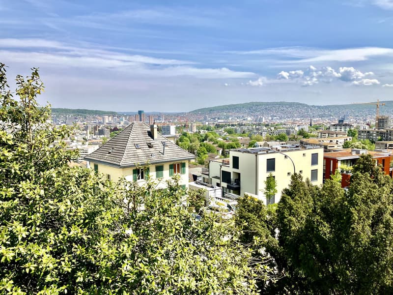 Weitblicke über die Stadt - 3 Wohnungen Nähe Triemli Spital (1)