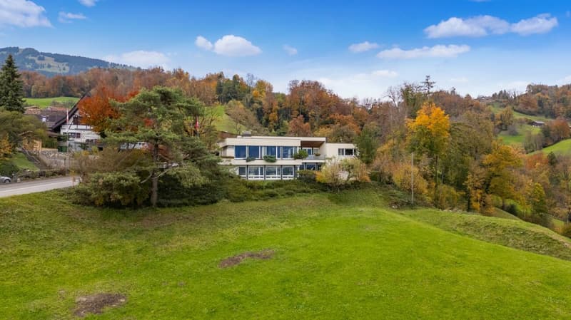 Late-Mid-Century-Modern - Architektenvilla (3)