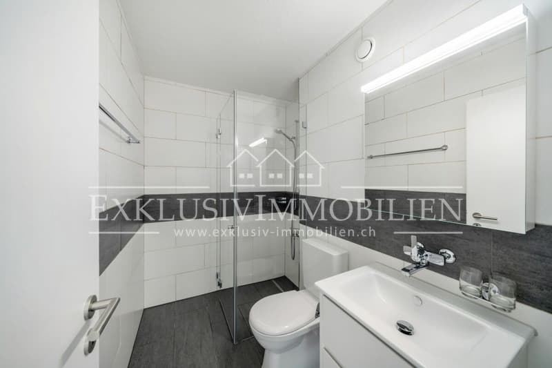 Frisch renovierte Wohnung in bester Lage (4)