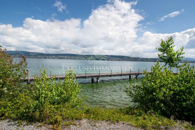 Belle-Époque-Villa am Zürichsee - Ein historisches Juwel mit privatem Seezugang (8)