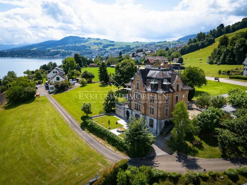 Belle-Époque-Villa am Zürichsee - Ein historisches Juwel mit privatem Seezugang (7)