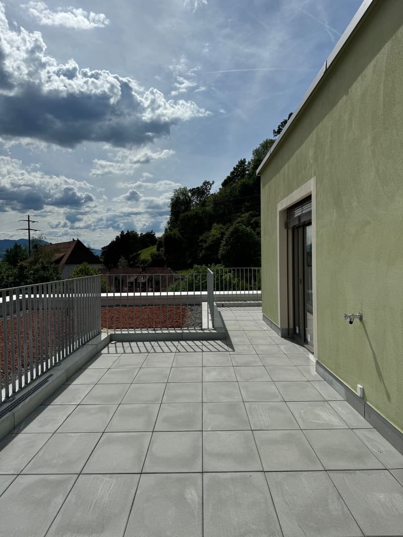 Neubau-Attikawohnung mit grosszügiger Terrasse (2)