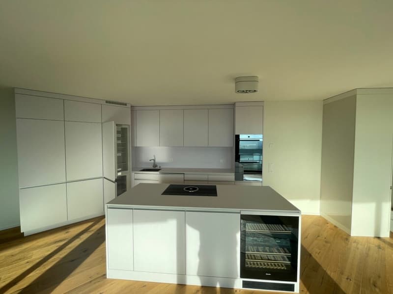 Zentrale Attika-Wohnung in Rapperswil (2)