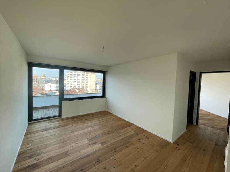 Zentrale Attika-Wohnung in Rapperswil (4)