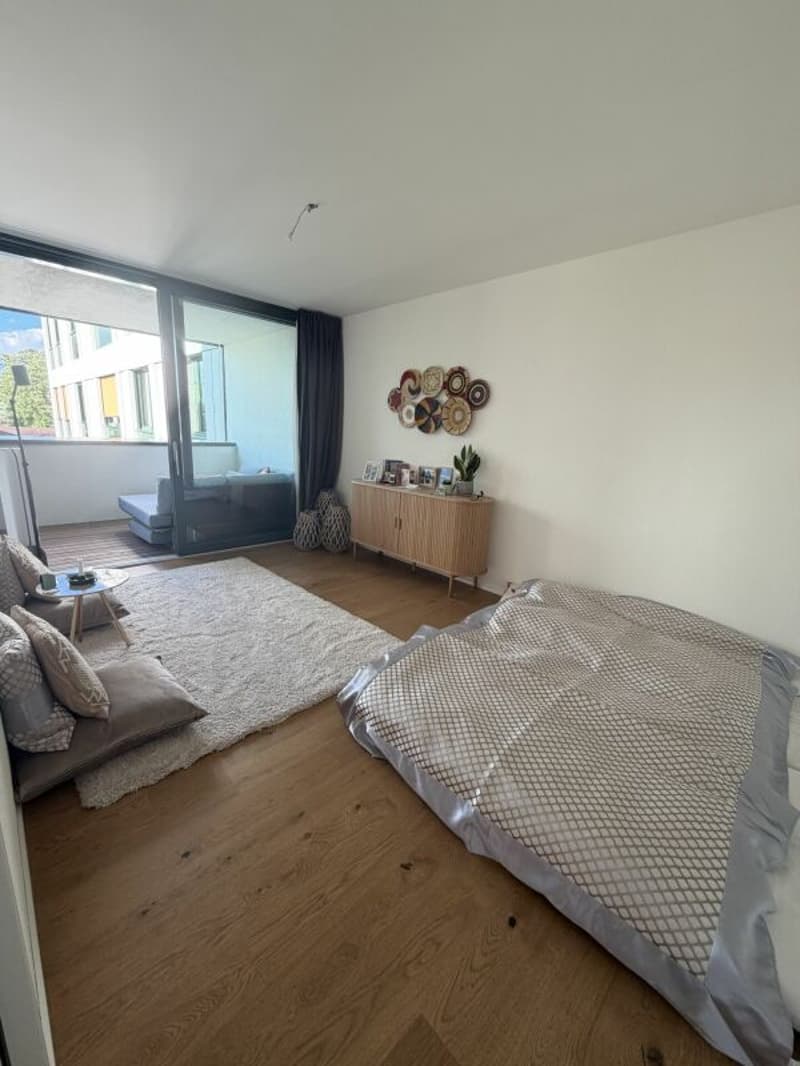 Moderne 4.5 Zimmerwohnung in Siebnen (5)