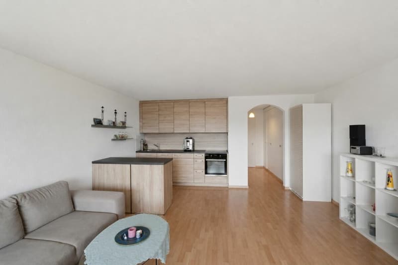Attraktive 1-Zi-Wohnung an ruhiger Lage im Lenggis (2)