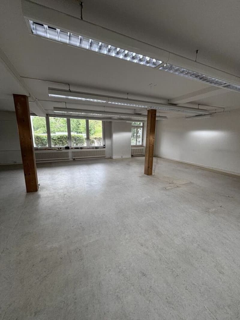 Grosser Büro-/Gewerberaum in ehemaliger Spinnerei (7)