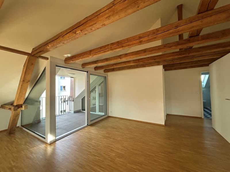 Moderne Dachwohnung mit Loggia an zentraler Lage (3)