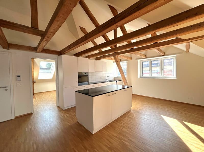 Moderne Dachwohnung mit Loggia an zentraler Lage (2)