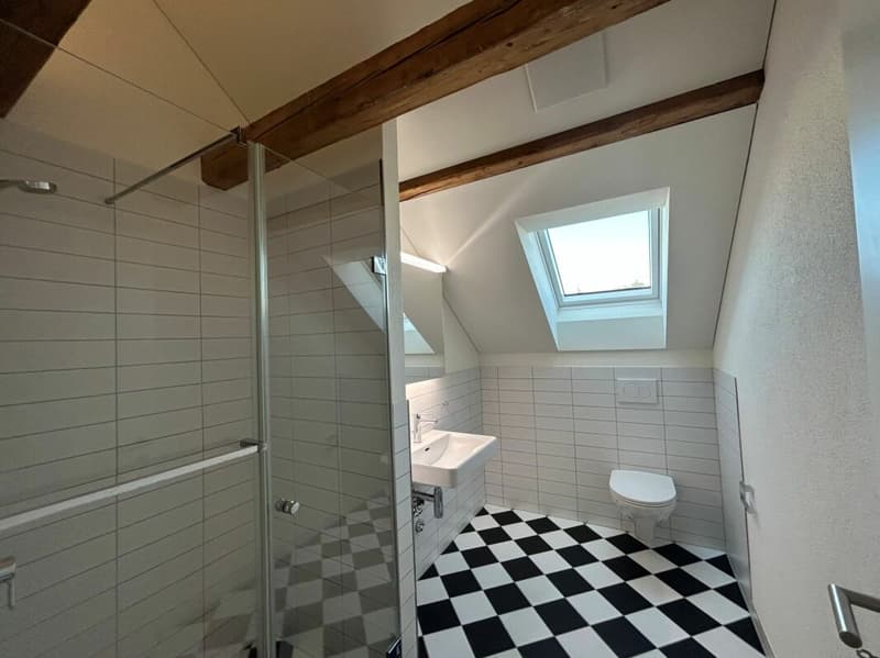 Moderne Dachwohnung mit Loggia an zentraler Lage (4)