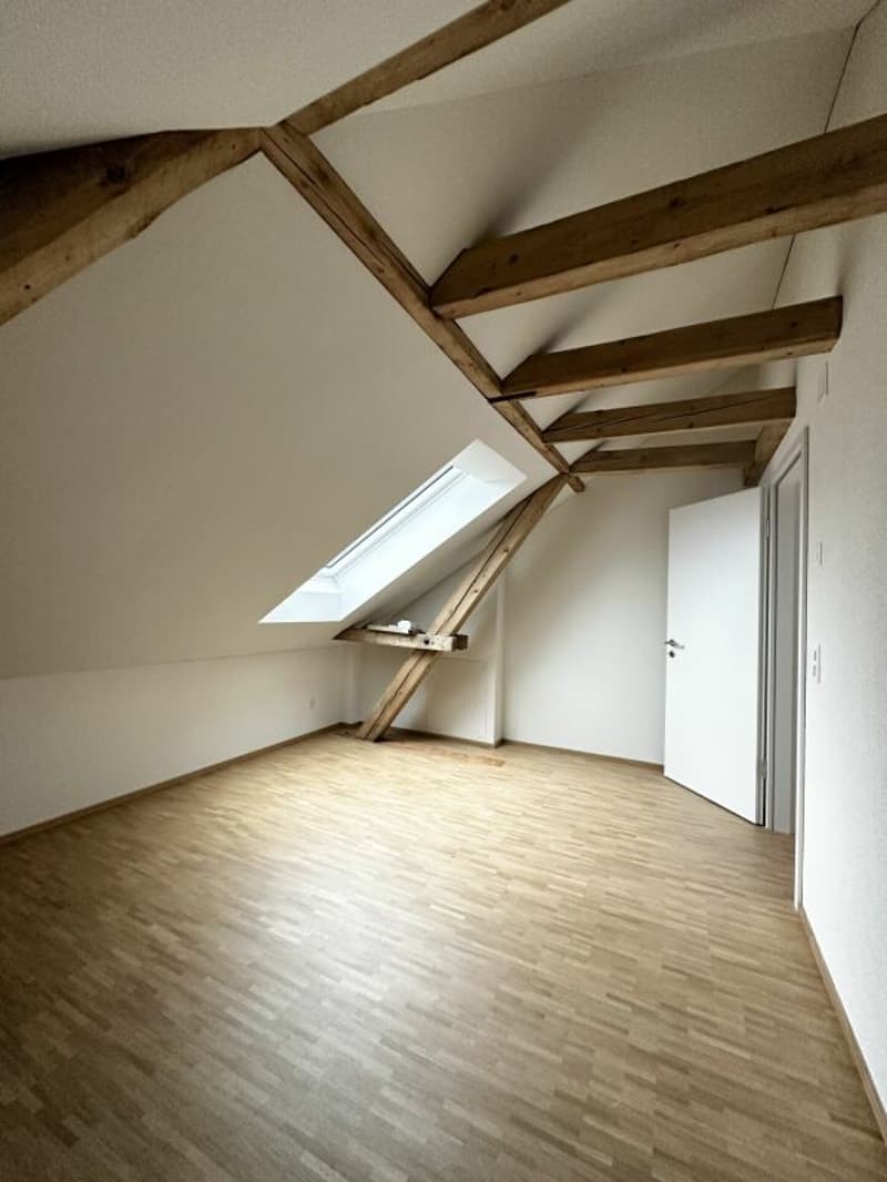 Moderne Dachwohnung mit Loggia an zentraler Lage (2)