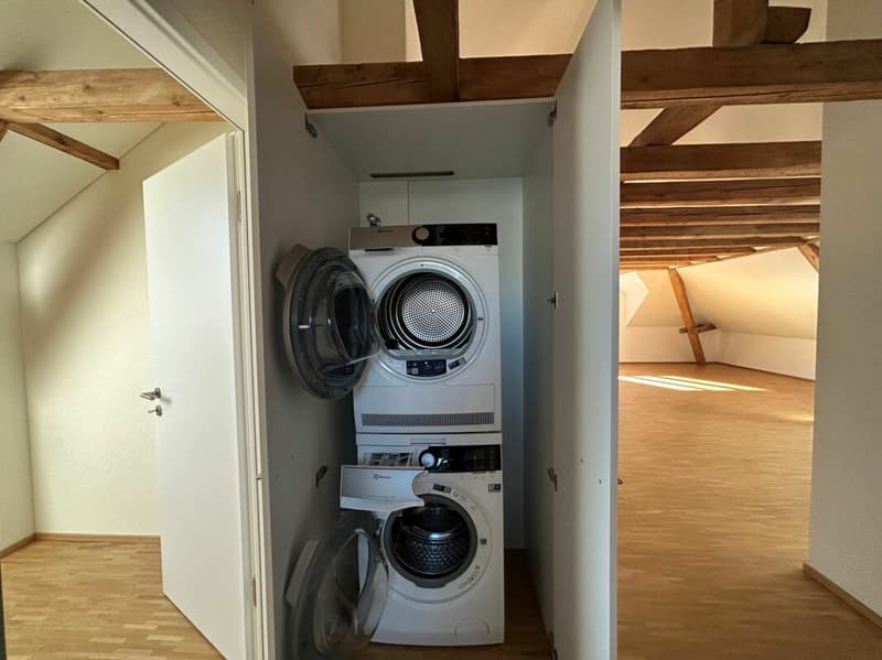Moderne Dachwohnung mit Loggia an zentraler Lage (7)