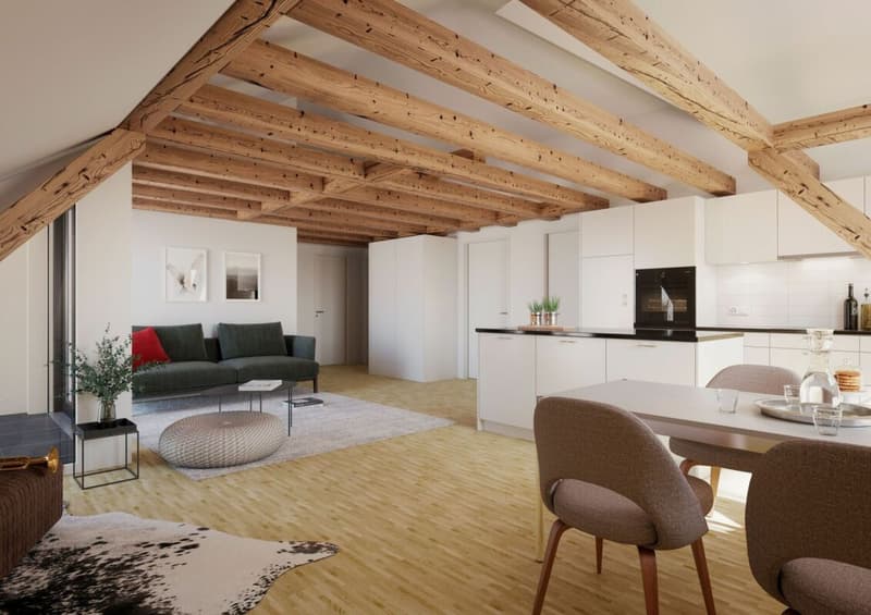 Moderne Dachwohnung mit Loggia an zentraler Lage (1)
