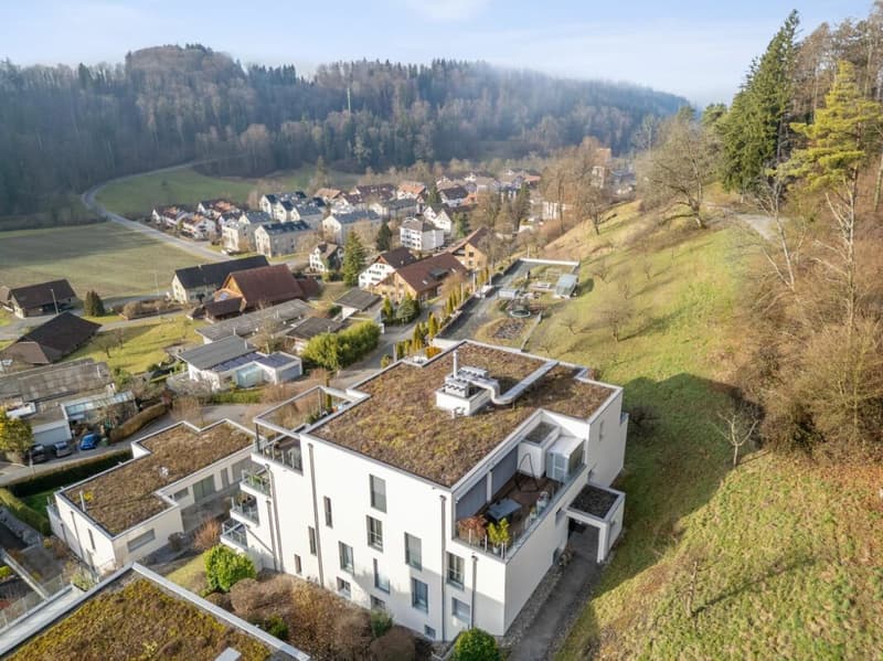 Grosszügige 3,5-Zimmerwohnung mit Weitsicht in Stallikon (5)