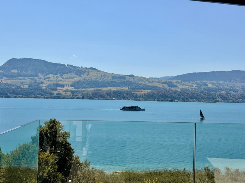 LUXURY LIVING — PENTHOUSE DER SUPERLATIVE — FERIENSTIMMUNG AM REBBERG - GRANDIOSE 360° PANORAMASICHT (1)