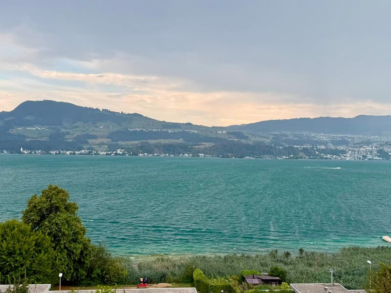 LUXURY LIVING — PENTHOUSE DER SUPERLATIVE — FERIENSTIMMUNG AM REBBERG - GRANDIOSE 360° PANORAMASICHT (5)