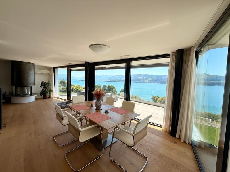 LUXURY LIVING — PENTHOUSE DER SUPERLATIVE — FERIENSTIMMUNG AM REBBERG - GRANDIOSE 360° PANORAMASICHT (13)