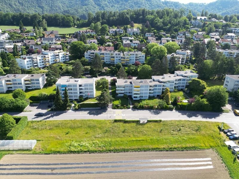 Helle 5.5-Zimmer-Wohnung mit Wintergarten in Wettswil am Albis (3)