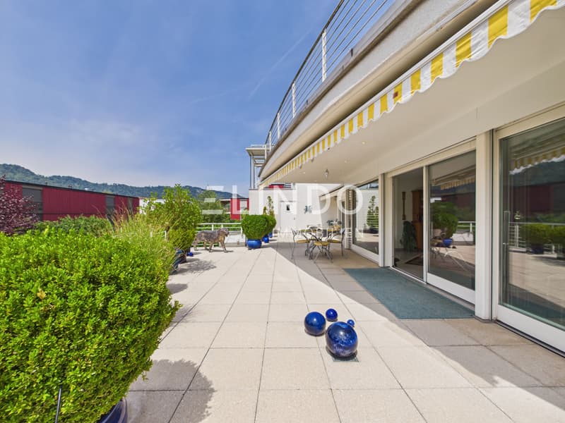 Grosszügige Terrassenwohnung mit Doppelgarage - Adliswil (3)