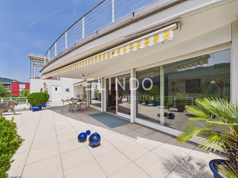Grosszügige Terrassenwohnung mit Doppelgarage - Adliswil (1)