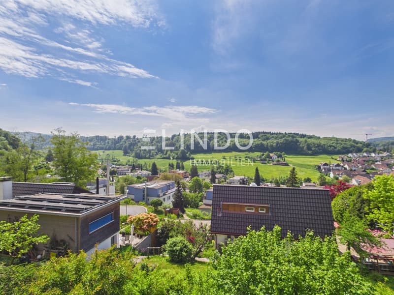 Weitblick & Sonne - Ihr Traumhaus in Birmensdorf ZH (12)