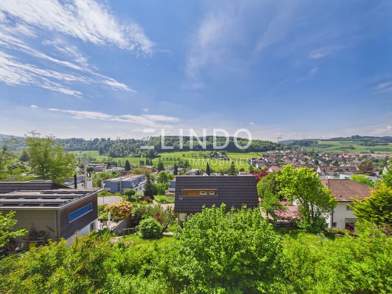 Weitblick & Sonne - Ihr Traumhaus in Birmensdorf ZH (1)