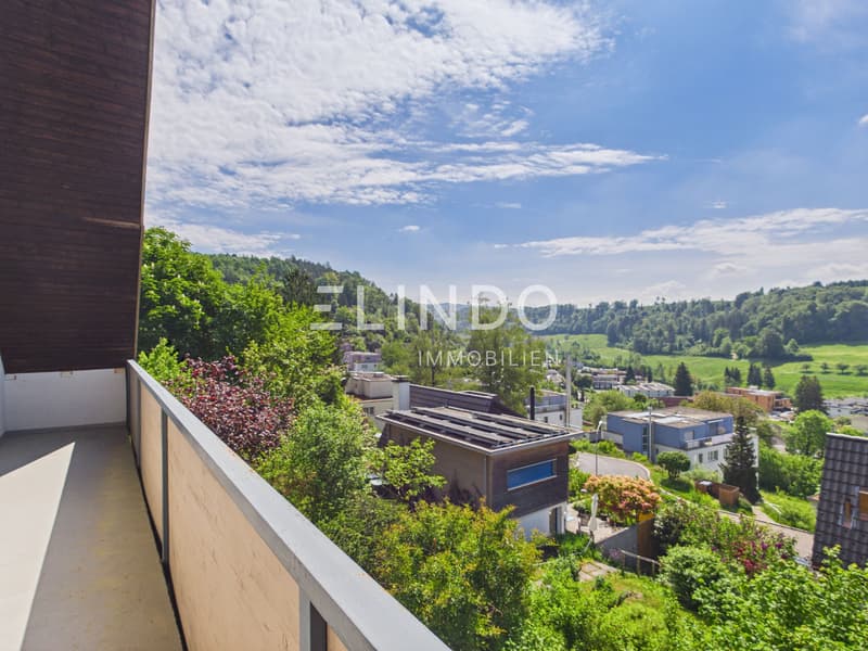 Weitblick & Sonne - Ihr Traumhaus in Birmensdorf ZH (2)