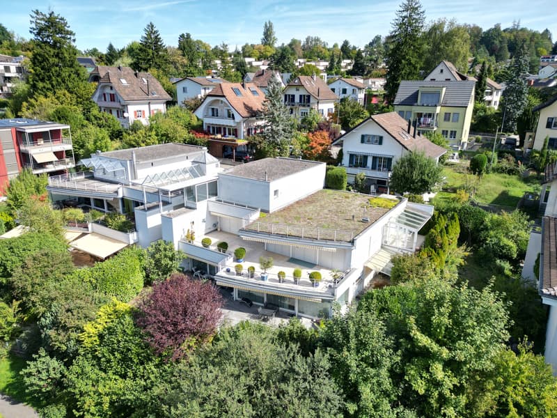 4.5-Zimmer-Terrassenwohnung, 96 m2 Terrasse, Adliswil kaufen (1)