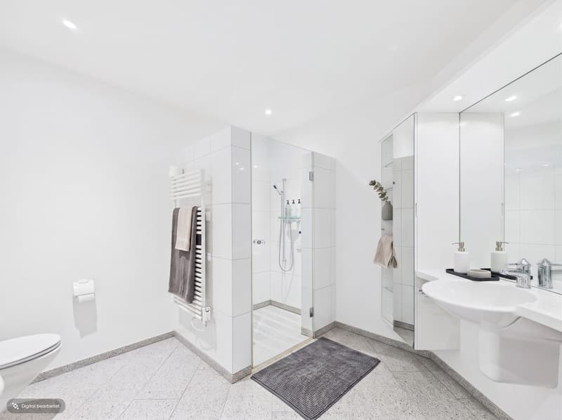 4.5-Zimmer-Terrassenwohnung, 96 m2 Terrasse, Adliswil kaufen (8)