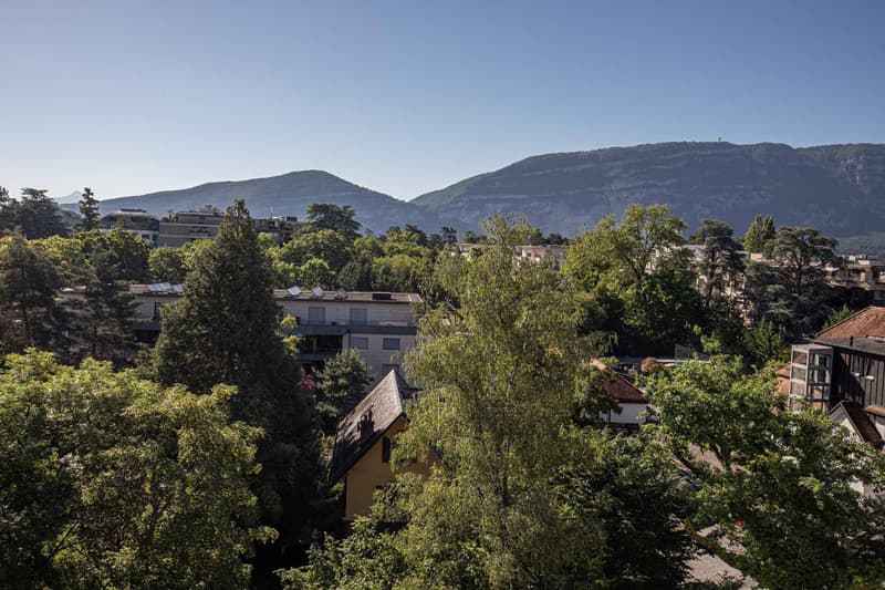 RESERVÉ - Studio au 7 ème étage avec balcon et vue Salève (9)