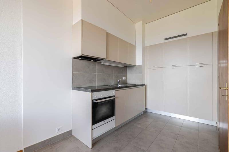 Appartement 2.5 pièces à Pommier (4)