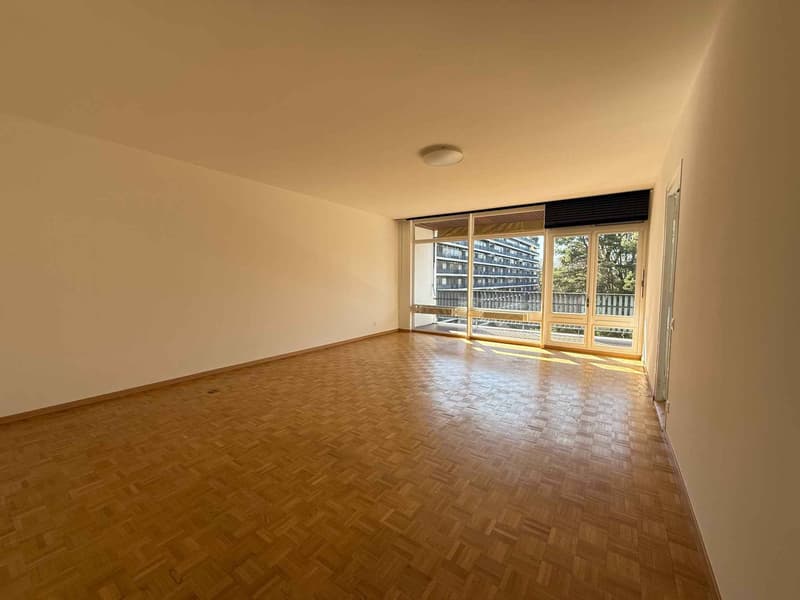 Magnifique appartement de 5 pièces (2)