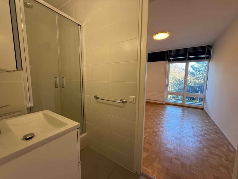 Magnifique appartement de 5 pièces (8)