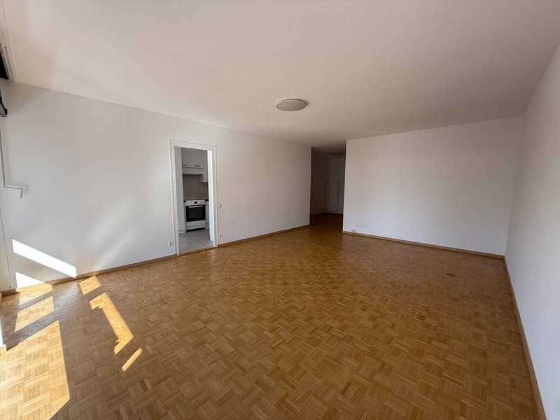 Magnifique appartement de 5 pièces (3)