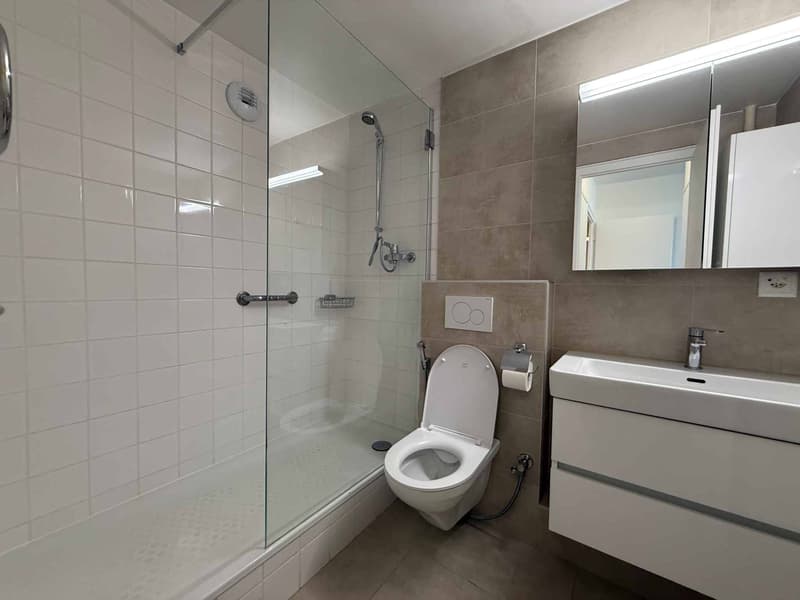 Magnifique appartement de 5 pièces (7)