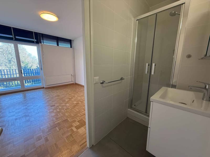 Magnifique appartement de 5 pièces (10)