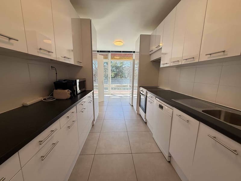 Magnifique appartement de 5 pièces (4)