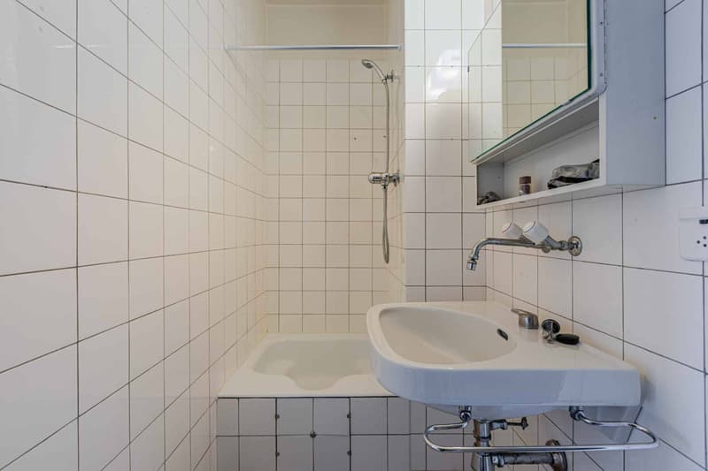 Magnifique appartement traversant de 4 pièces (6)