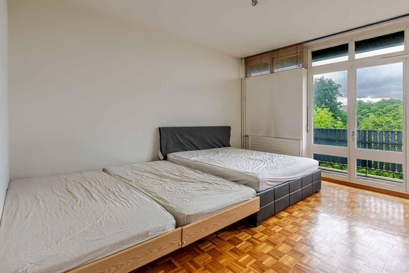 Magnifique appartement traversant de 4 pièces (3)