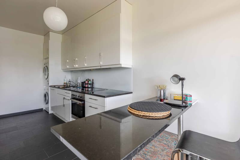 APPARTEMENT LUMINEUX DE 4 PIÈCES (5)