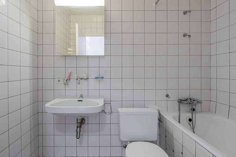 STANDING - APPARTEMENT 8 PIECES 250 m2 (10)
