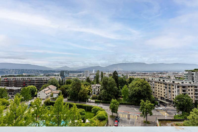 STANDING - APPARTEMENT 8 PIECES 250 m2 (2)