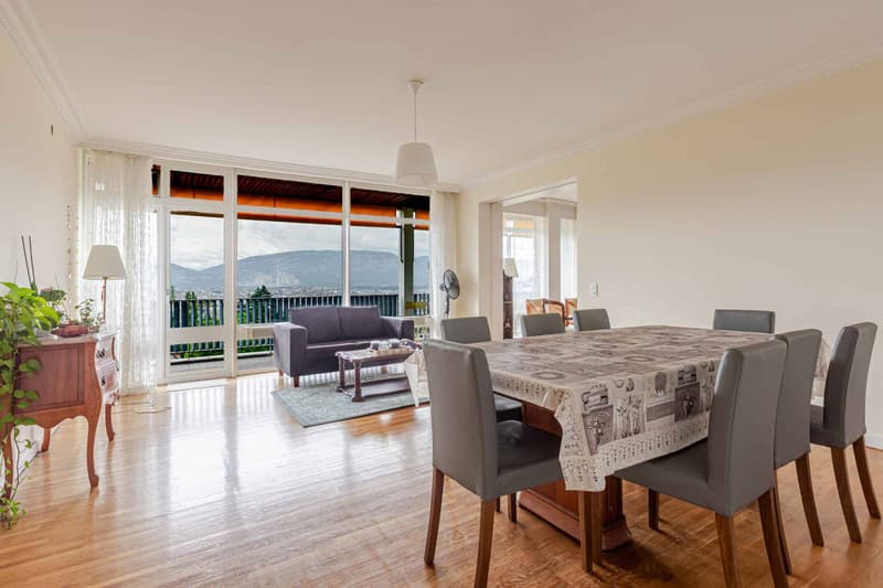 STANDING - APPARTEMENT 8 PIECES 250 m2 (3)