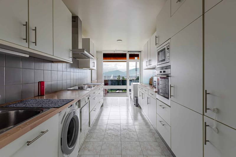STANDING - APPARTEMENT 8 PIECES 250 m2 (13)
