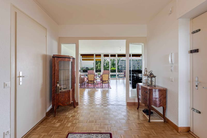 APPARTEMENT 7 PIECES VUE LAC (9)