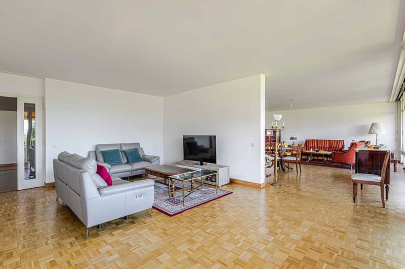 APPARTEMENT 7 PIECES VUE LAC (4)