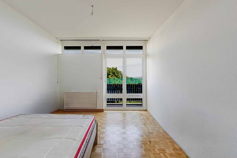 APPARTEMENT 7 PIECES VUE LAC (8)