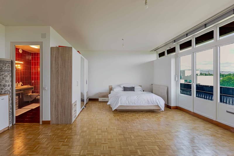 APPARTEMENT 7 PIECES VUE LAC (6)