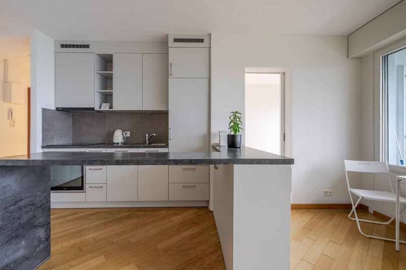 À louer  Agréable appartement de 2 pièces (2)